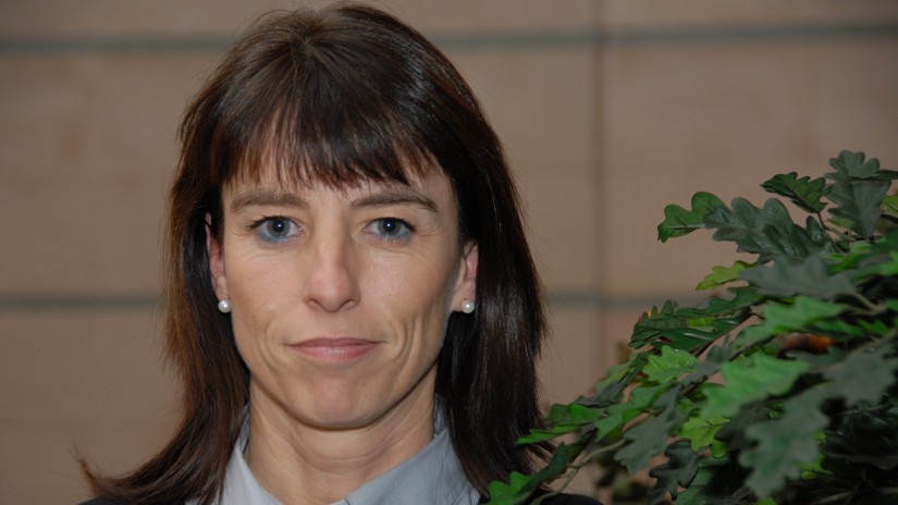 EAJk Hezkuntza Sailburuaren agerraldia eskatu du Legebiltzarrean, UNIBASQeko egoera azaltzeko