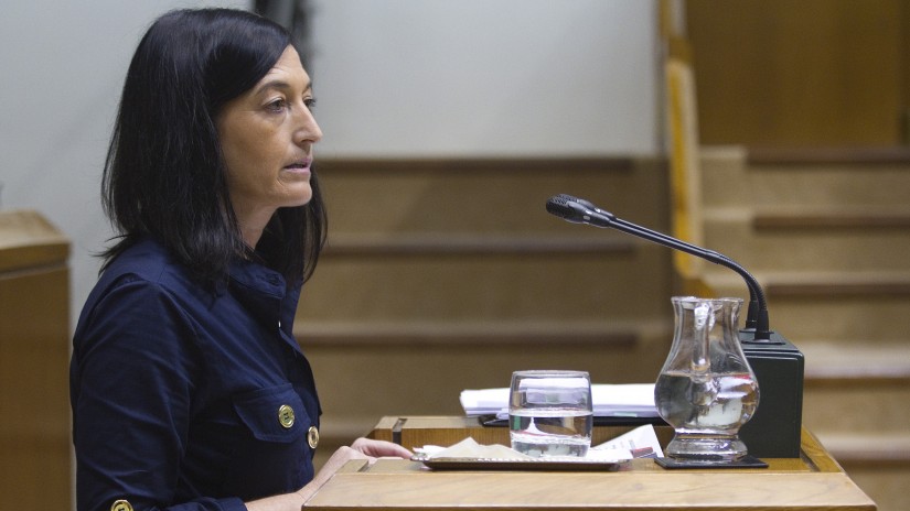 EAJ-PNV: 2014ko aurrekontuek egonkortasun ekonomiko eta instituzionala ekarriko dute