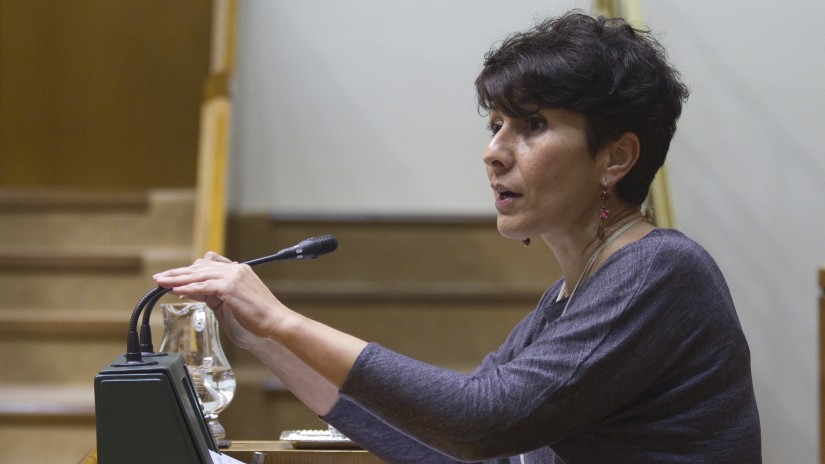 “Ulertezina da ezker abertzaleak aireportuen transferentzia-prozesua EAEra ekartzeko eskariaren aurka egitea PSE-EE eta PPrekin batera”