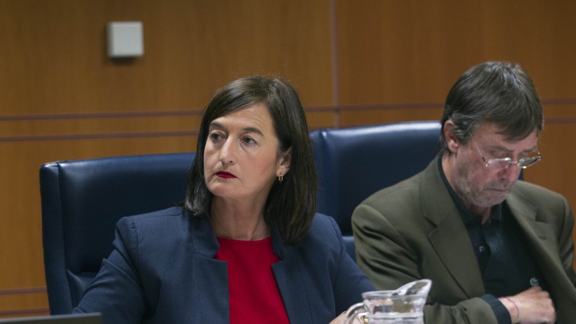 Josune Gorospe: “Ekintzailetza etorkizunerako aukera erakargarria da Euskadin”