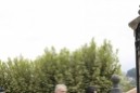 Iñigo Urkullu lehendakariak Gernikako zuhaitzaren azpian egin du karguaren zina - 2020